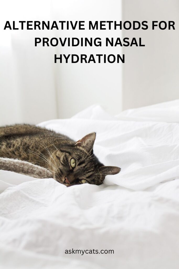 Alternative Methods For Providing Nasal Hydration