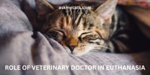 Role of Veterinary Doctor In Euthanasia: A Compassionate Approach