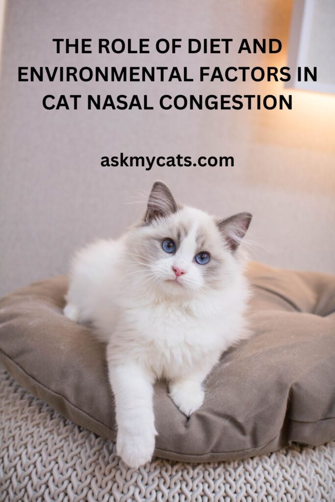 The Role Of Diet And Environmental Factors In Cat Nasal Congestion