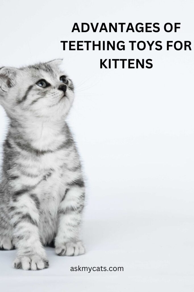 Advantages of Teething Toys for Kittens