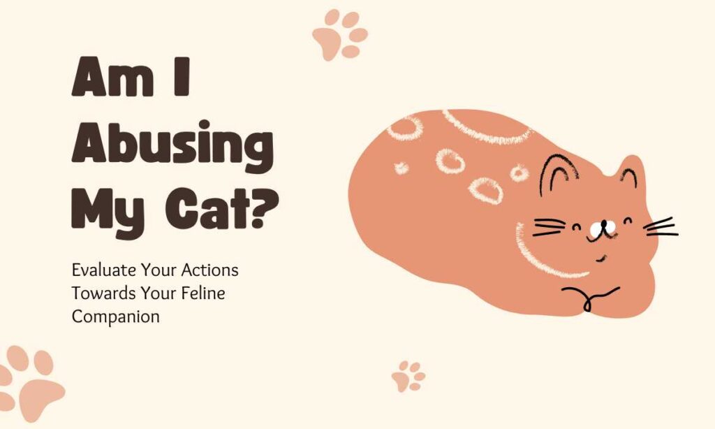 Am I Abusing My Cat? quiz