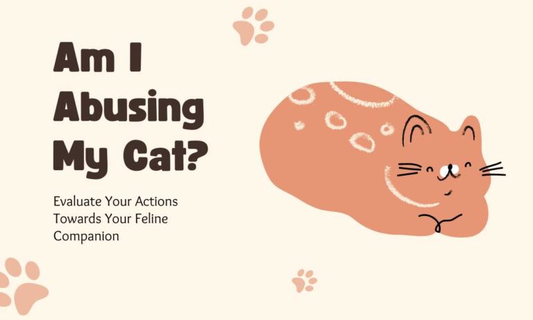 Am I Abusing My Cat? Take This Quiz to Find Out
