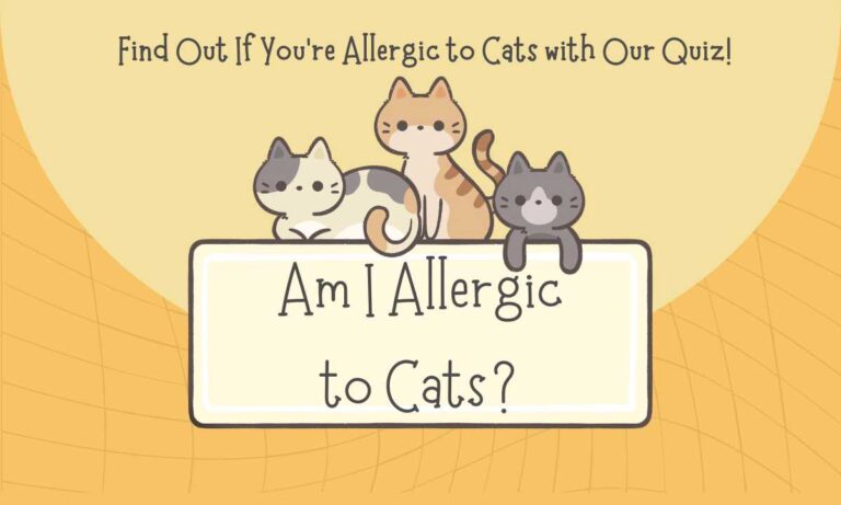 Am I Allergic to Cats? Take the Quiz Now!