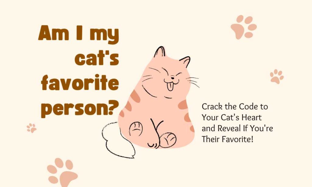Am I my cat's favorite person? quiz