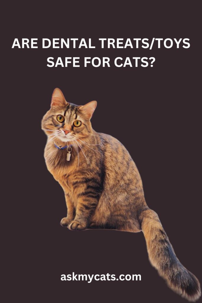 Are Dental TreatsToys Safe for Cats