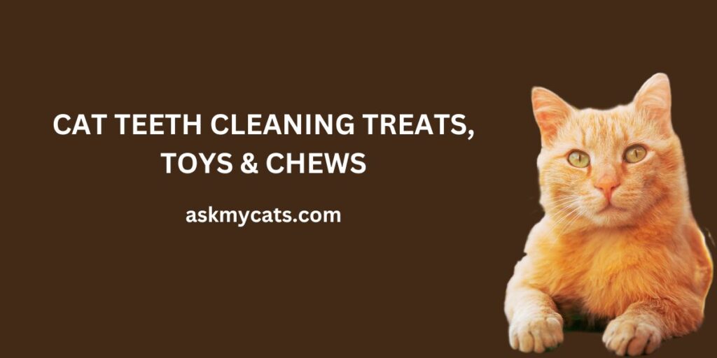 Cat Teeth Cleaning Treats, Toys & Chews