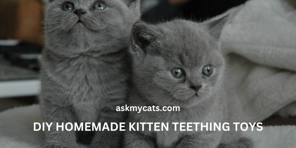 DIY Homemade Kitten Teething Toys