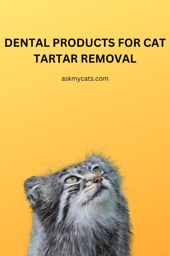 Dental Products for Cat Tartar Removal