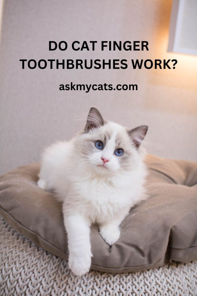 Do Cat Finger Toothbrushes Work