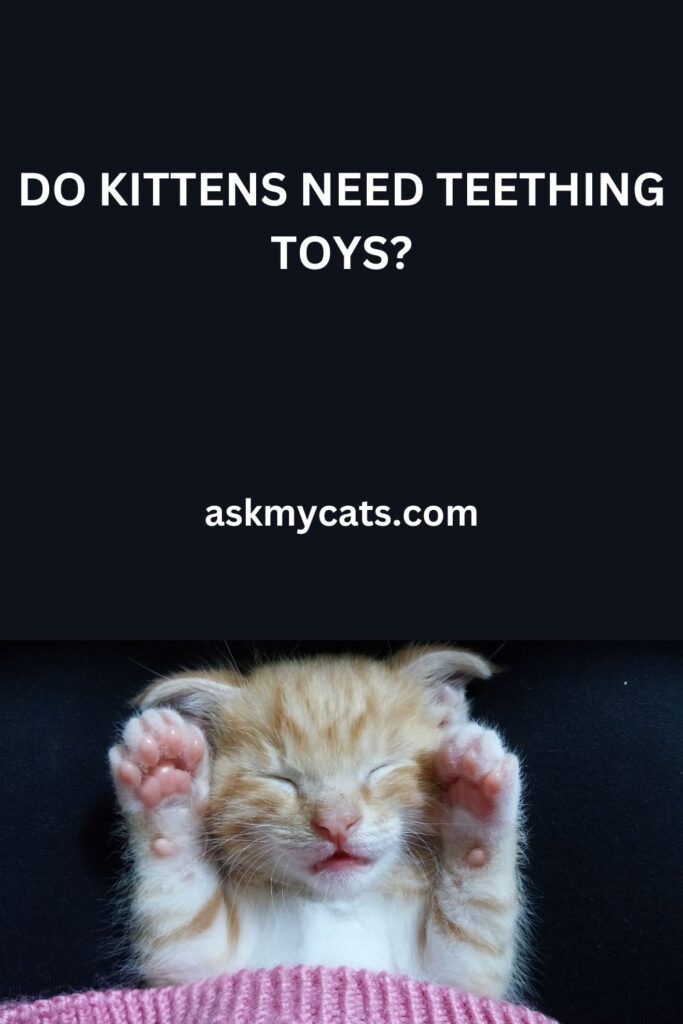 Do Kittens Need Teething Toys