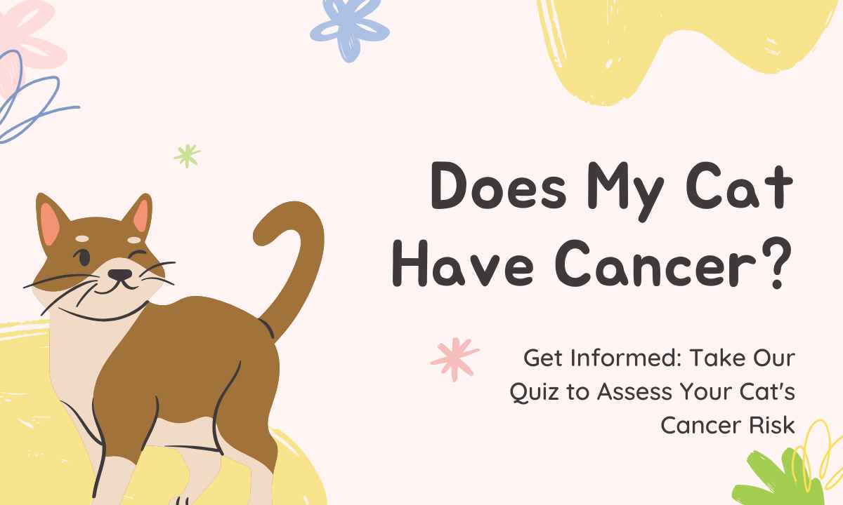 Does My Cat Have Cancer quiz