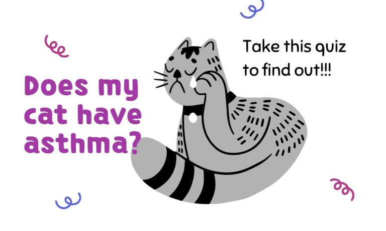 Does My Cat Have Asthma? Take The Quiz
