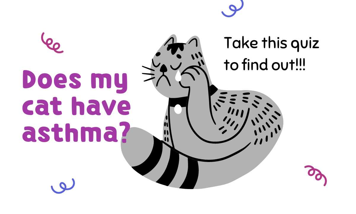 Does my cat have asthma quiz