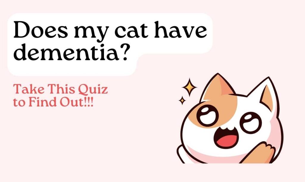 Does my cat have dementia? Quiz