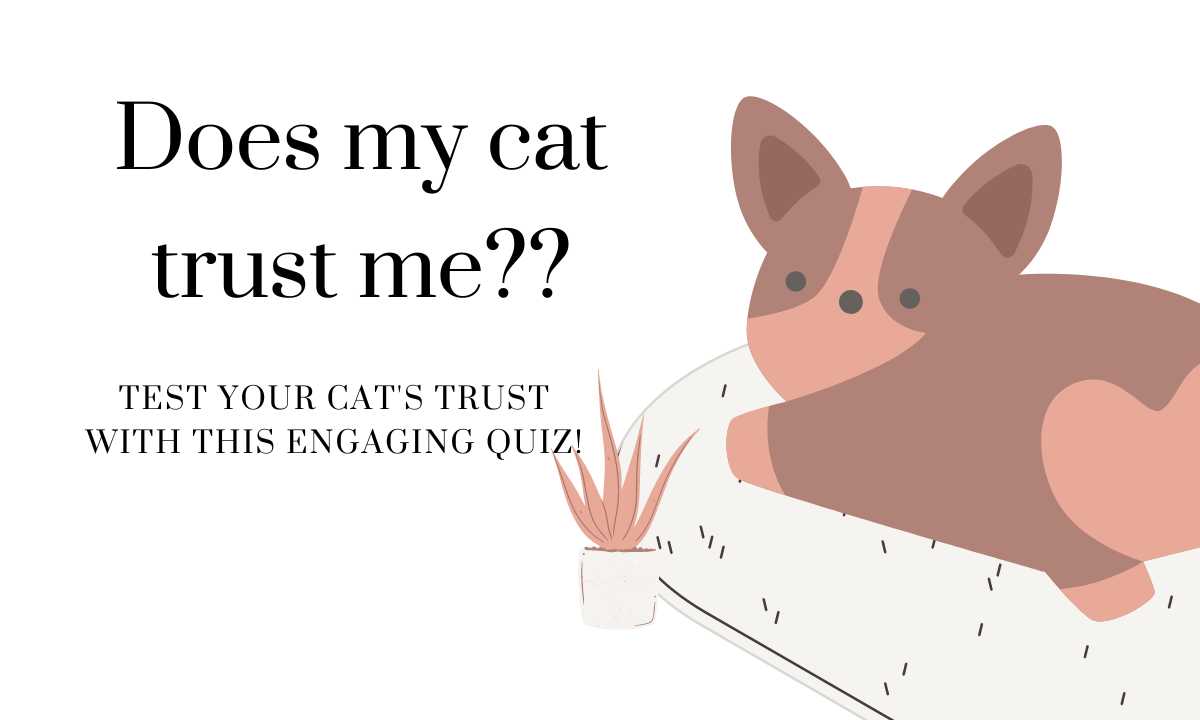 Does my cat trust me quiz