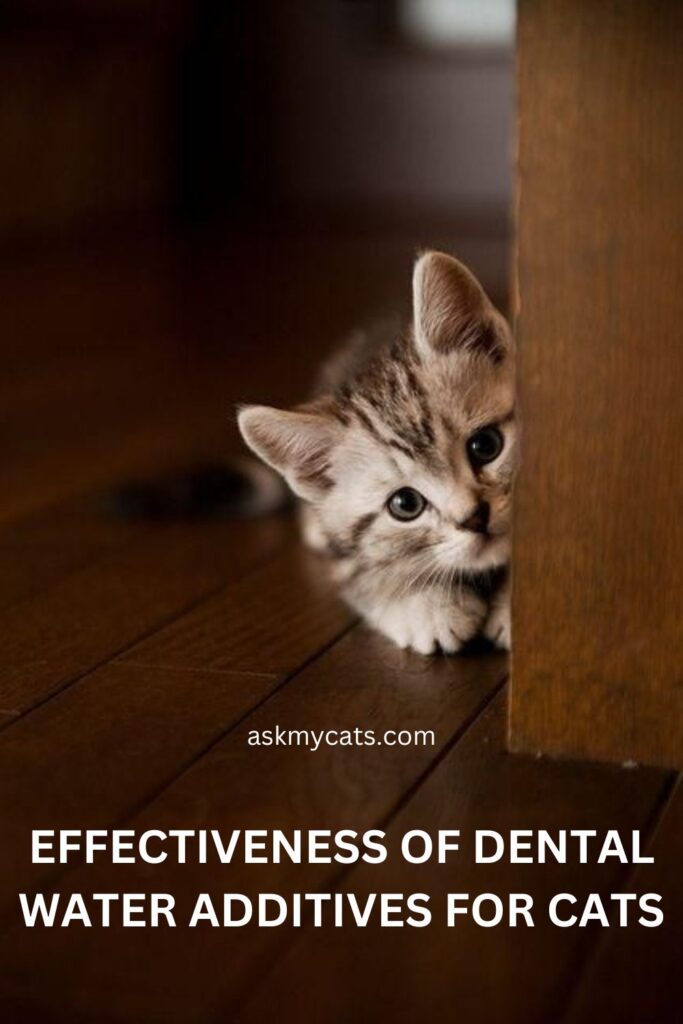Effectiveness of Dental Water Additives for Cats