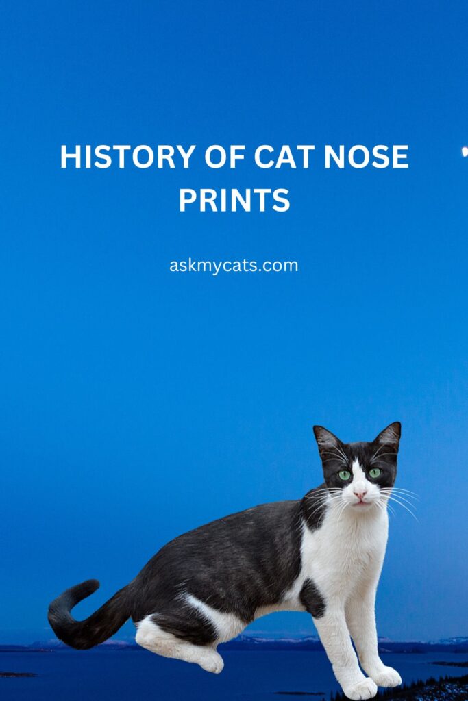 History of Cat Nose Prints