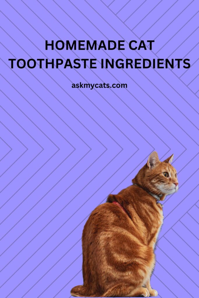 Homemade Cat Toothpaste Ingredients