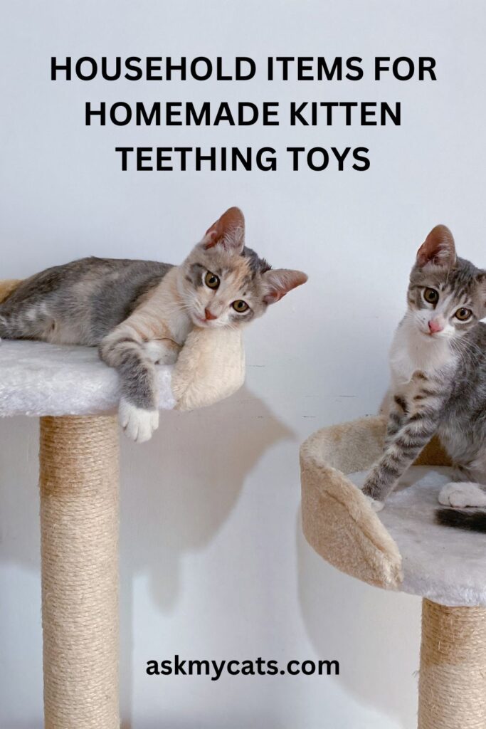 Household Items for Homemade Kitten Teething Toys