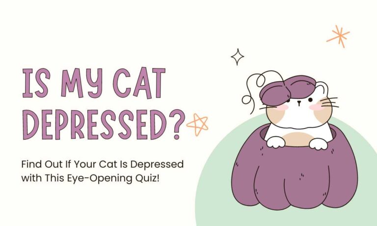 Is My Cat Depressed? Take Our Cat Depression Quiz!