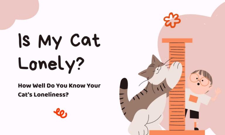 Quiz: Is Your Cat Lonely? Discover the Truth!