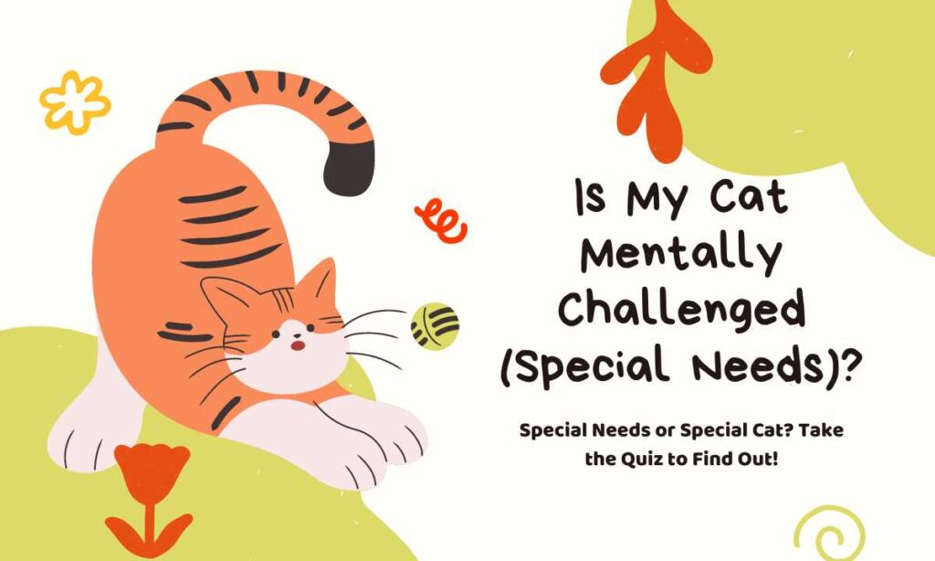 Is My Cat Mentally Challenged (Special Needs)? quiz