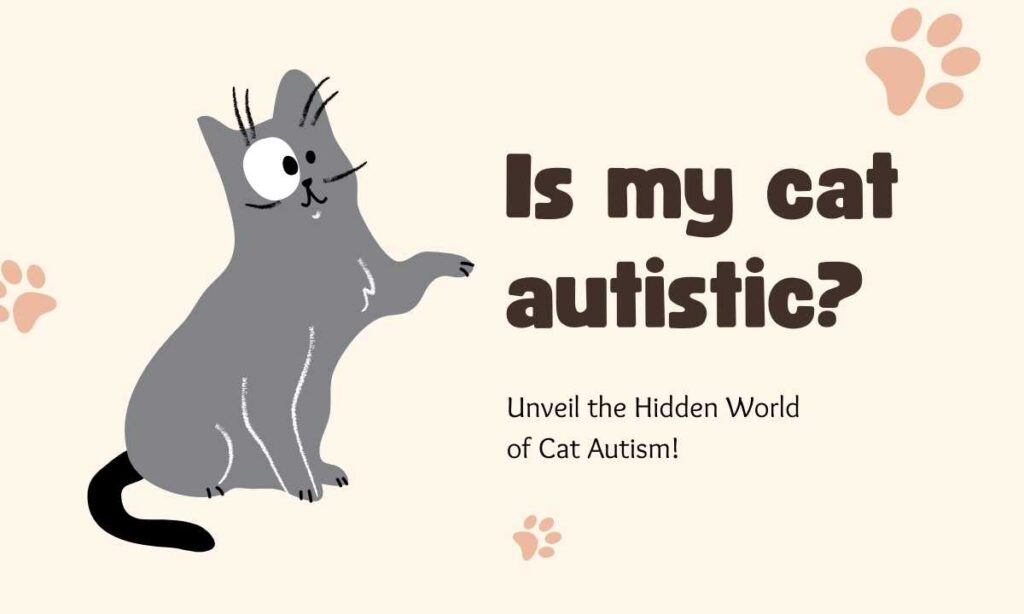 Is my cat autistic? quiz