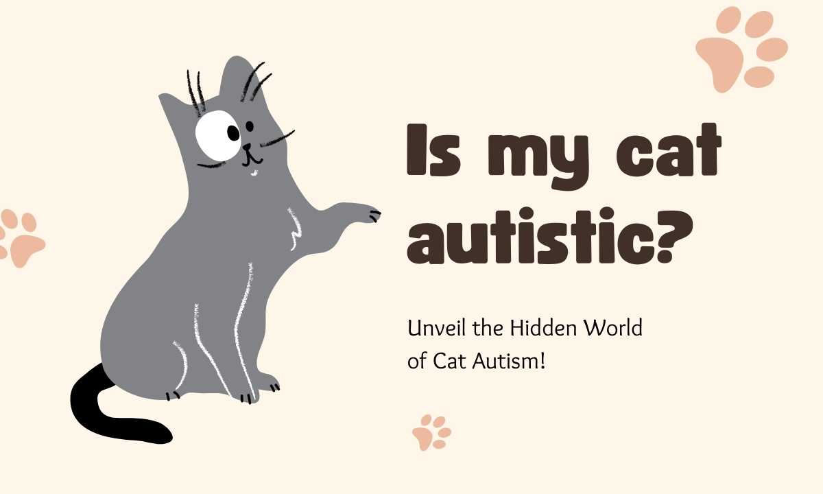 Is my cat autistic quiz