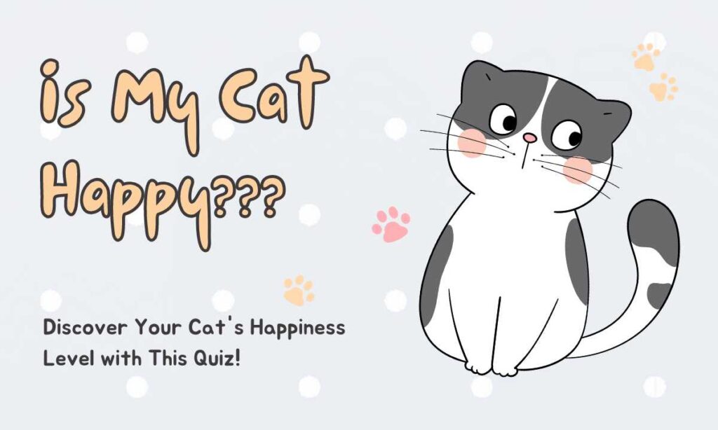 Is my cat happy? quiz