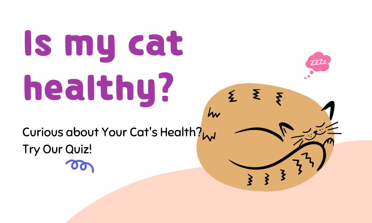 Is my cat healthy quiz