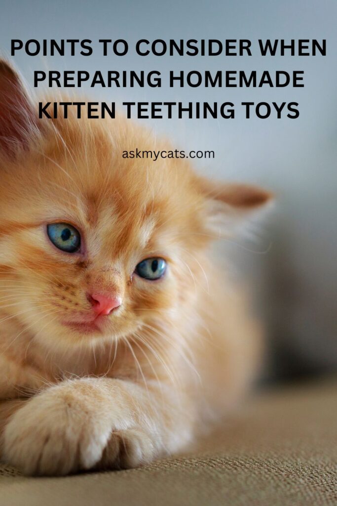 Points to Consider When Preparing Homemade Kitten Teething Toys