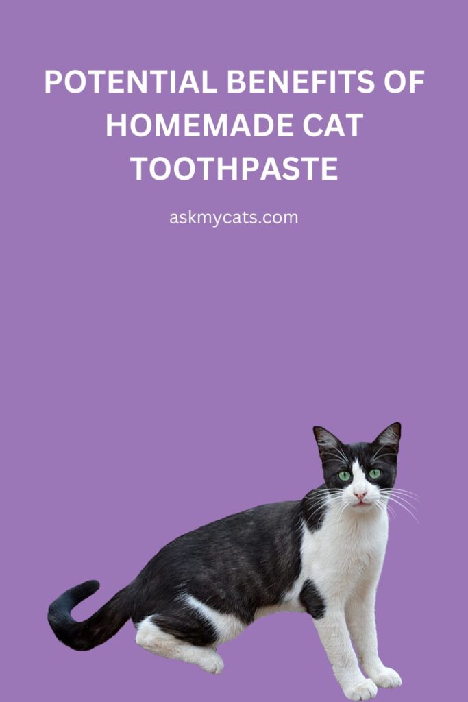 Potential Benefits of Homemade Cat Toothpaste