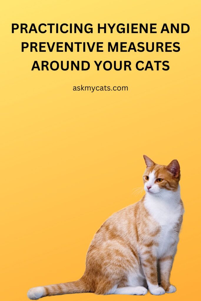 Practicing Hygiene and Preventive Measures Around Your Cats
