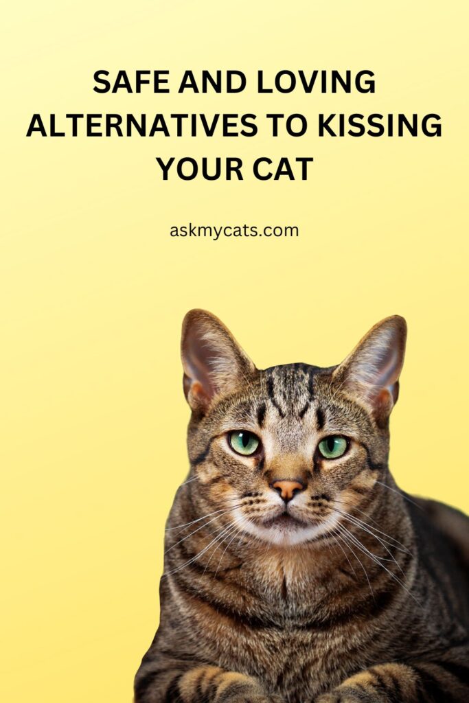 Safe and Loving Alternatives to Kissing Your Cat