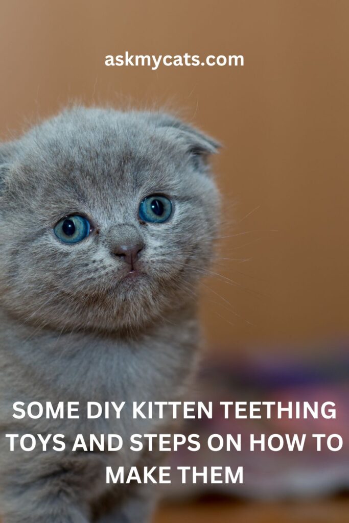 Some DIY Kitten Teething Toys And Steps On How To Make Them