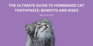 The Ultimate Guide to Homemade Cat Toothpaste: Benefits and Risks