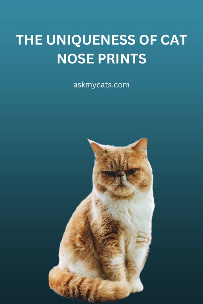 The Uniqueness of Cat Nose Prints