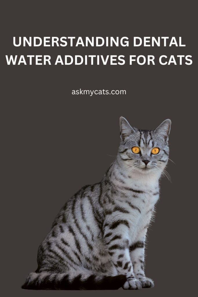 Understanding Dental Water Additives for Cats