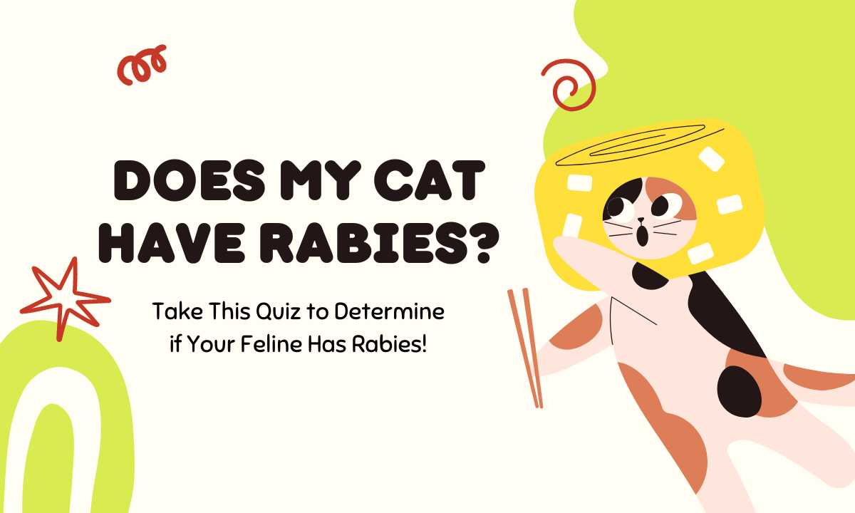 does my cat have rabies quiz