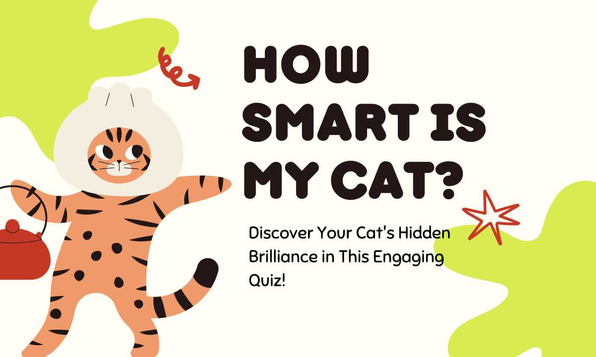 how smart is my cat quiz