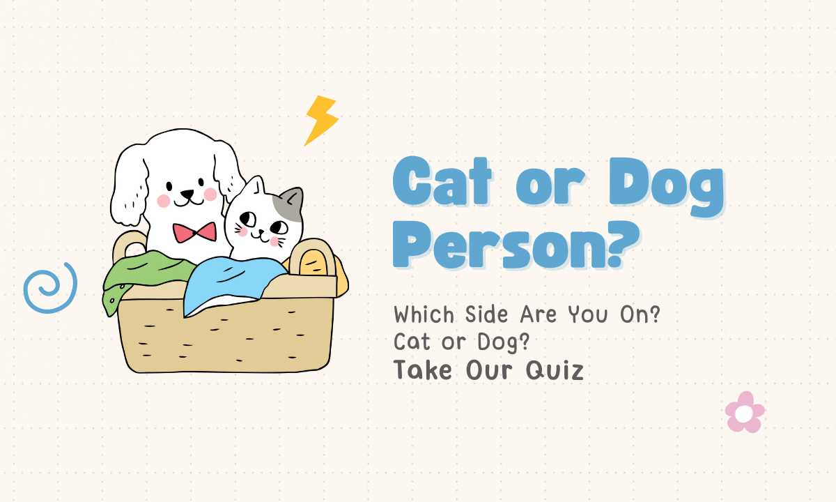 Cat or Dog Person quiz