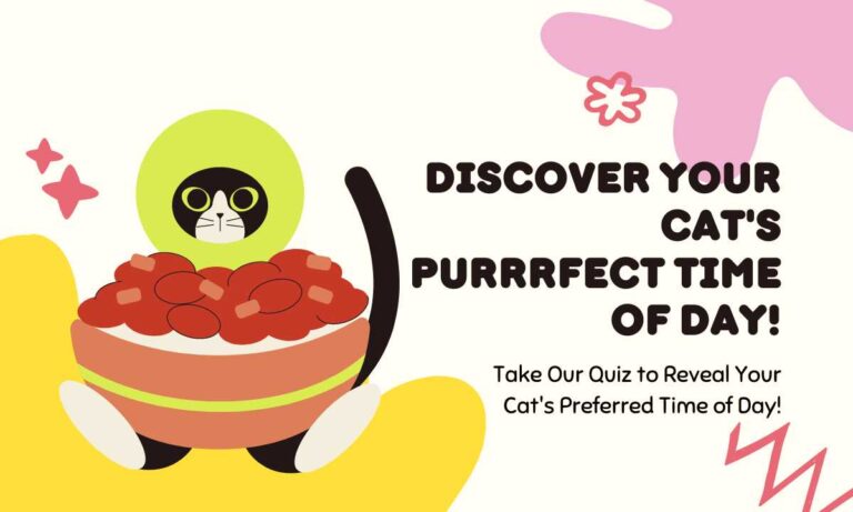 Quiz: Decode Your Cat’s Ideal Time! Don’t Miss Out!