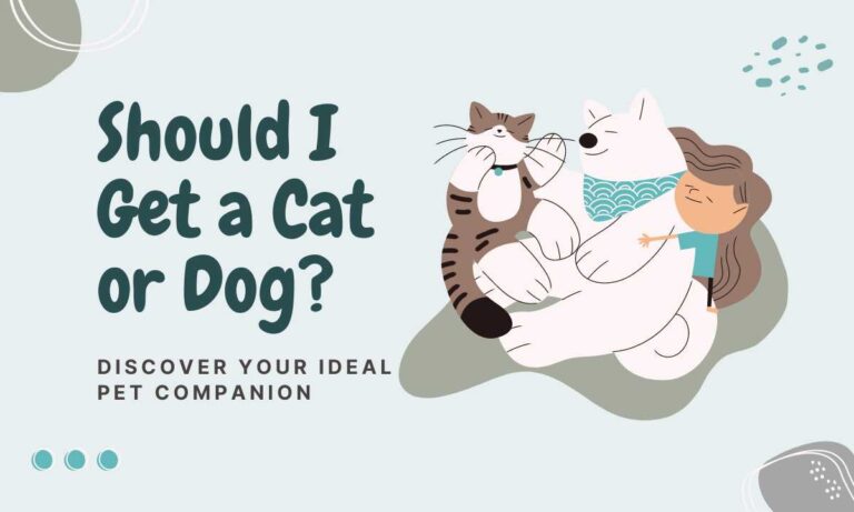 Quiz Time: Should I Get a Cat or Dog?