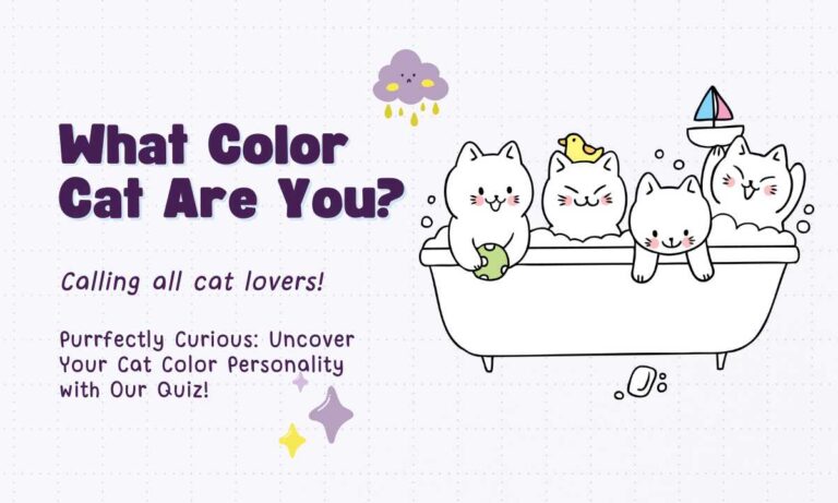 What Color Cat Are You? Take Our Cat Color Quiz!