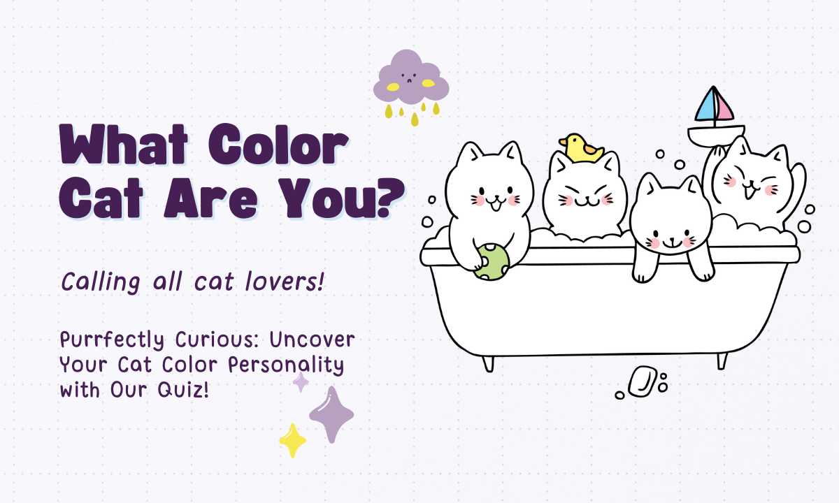 What Color Cat Are You quiz