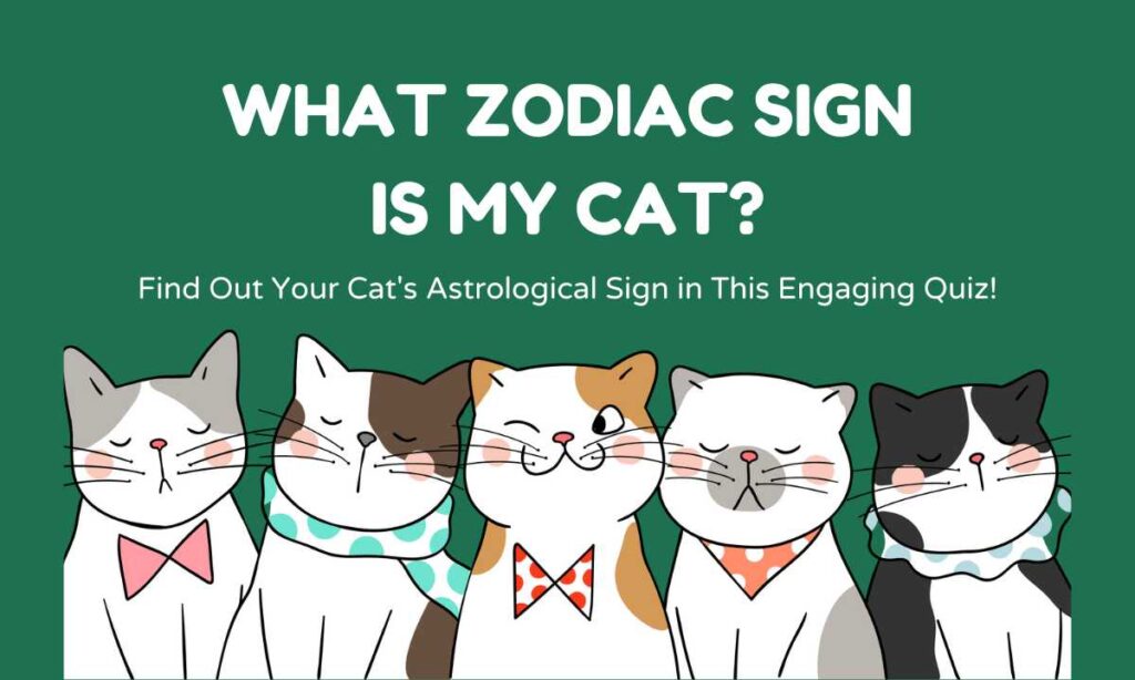 What Zodiac Sign Is My Cat? quiz