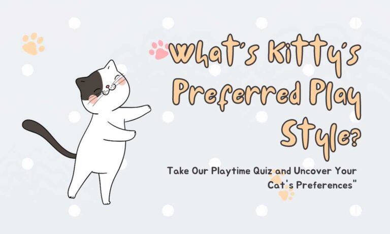 Quiz: Find Out How Your Cat Loves to Play