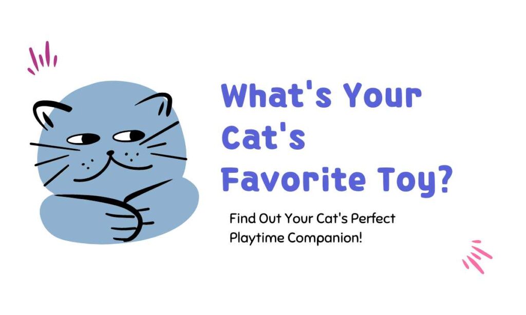 What's Your Cat's Favorite Toy? quiz