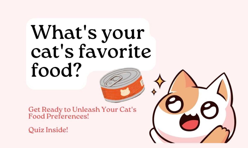 What's your cat's favorite food? quiz