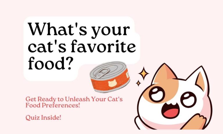 Cat Food Quiz: What’s Your Cat’s Favorite Food?
